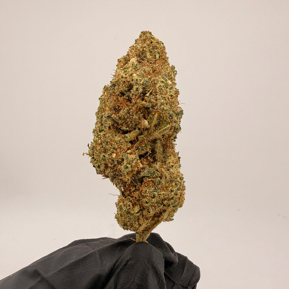 GMO Cookies Premium CBD Blüten Bulk 20g