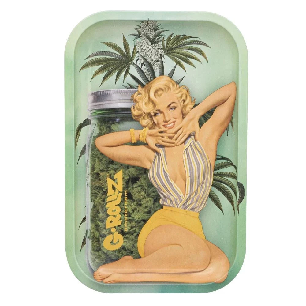 Auto Parts Rolling Tray M
