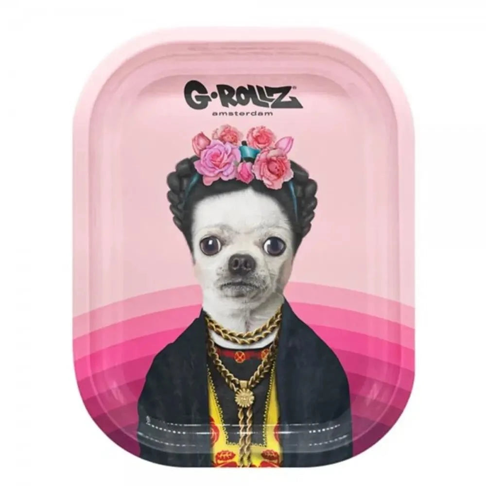 Pets Rock Mexico Rolling Tray S