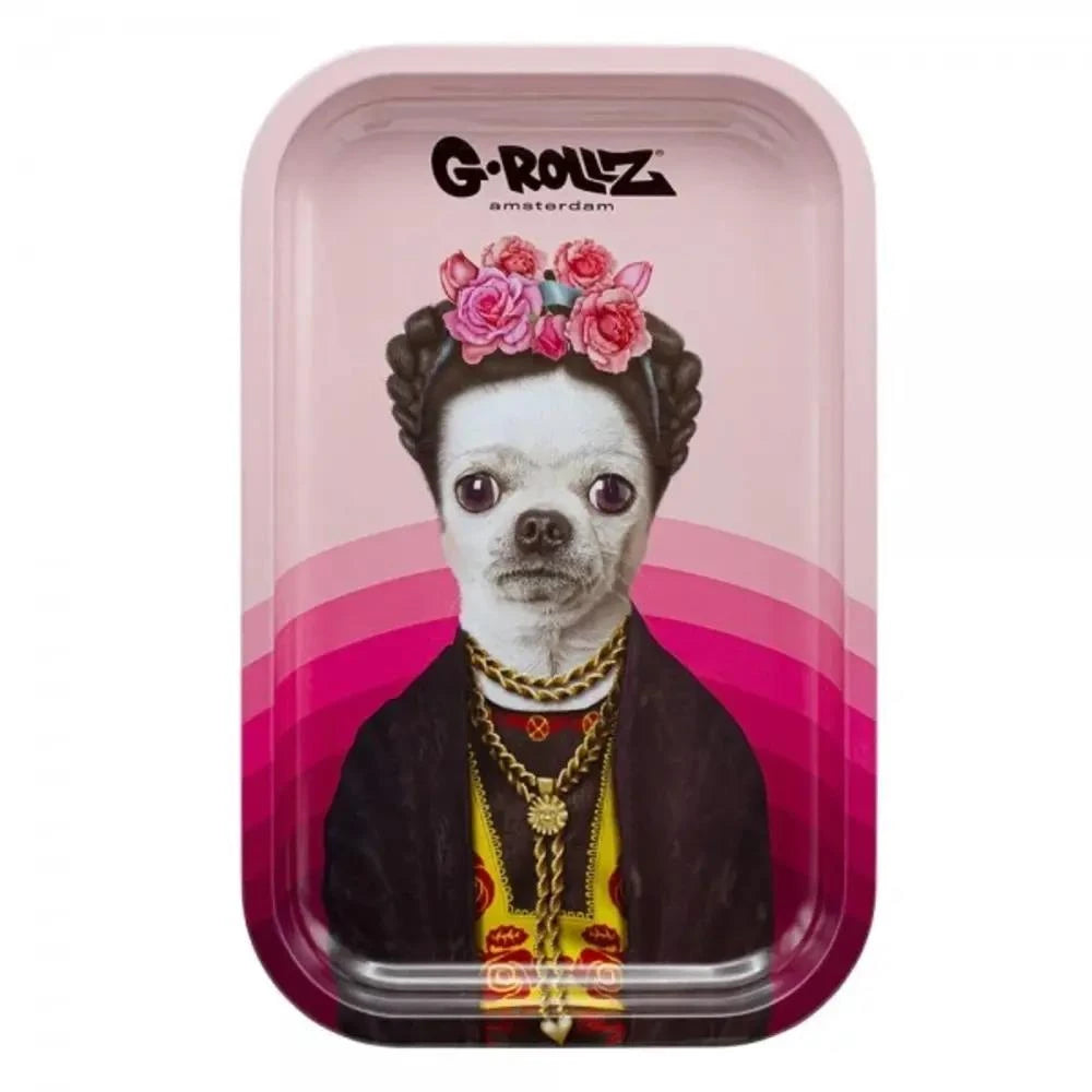 Pets Rock Mexico Rolling Tray M
