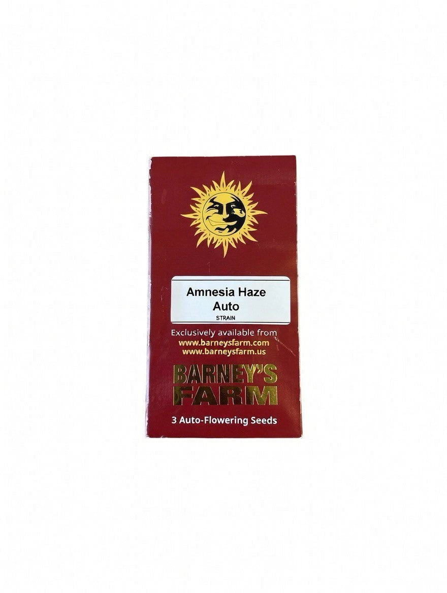Amnesia Haze Automatic 3x Cannabissamen