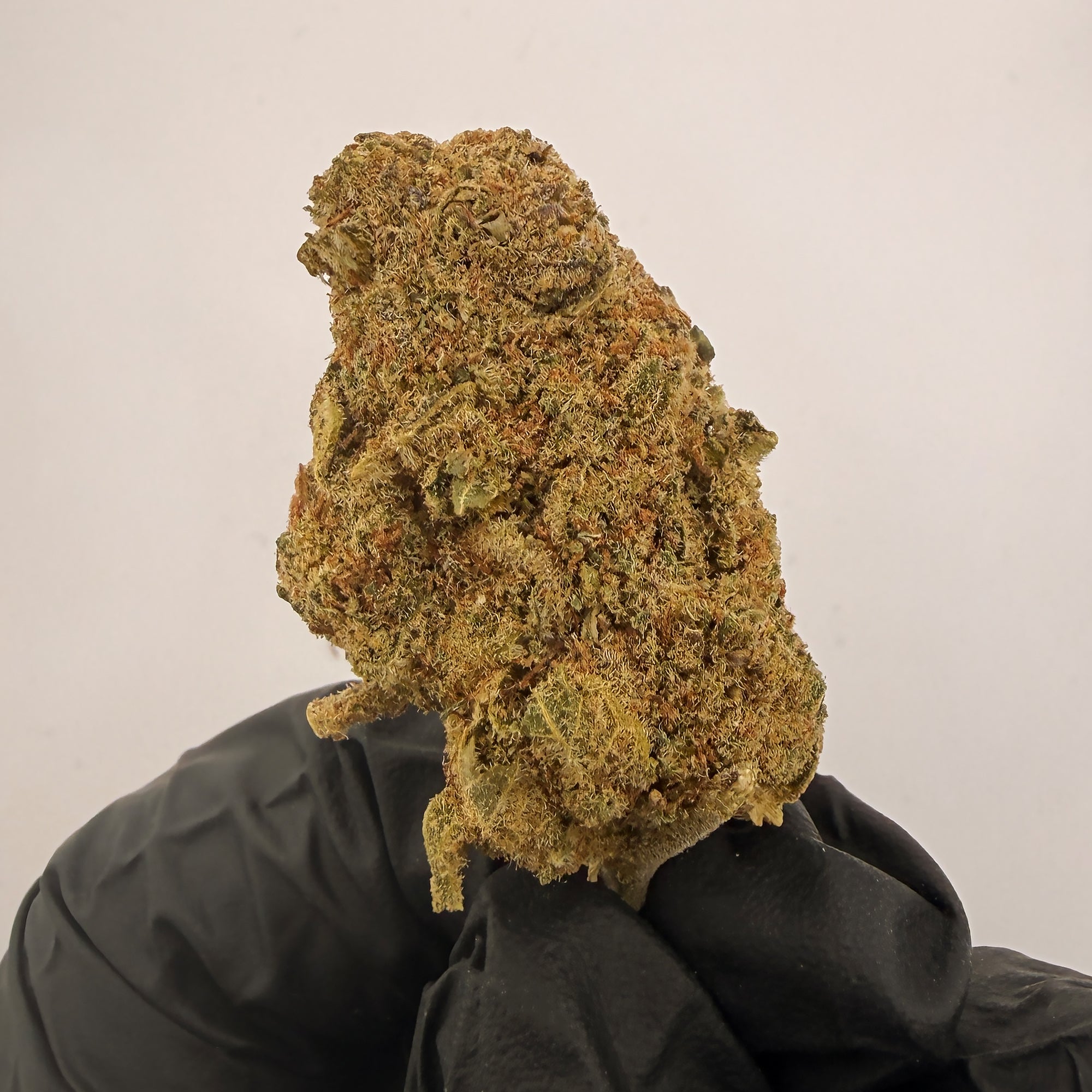 Dom Perignon OG Premium  CBD Blüten  Bulk 20g