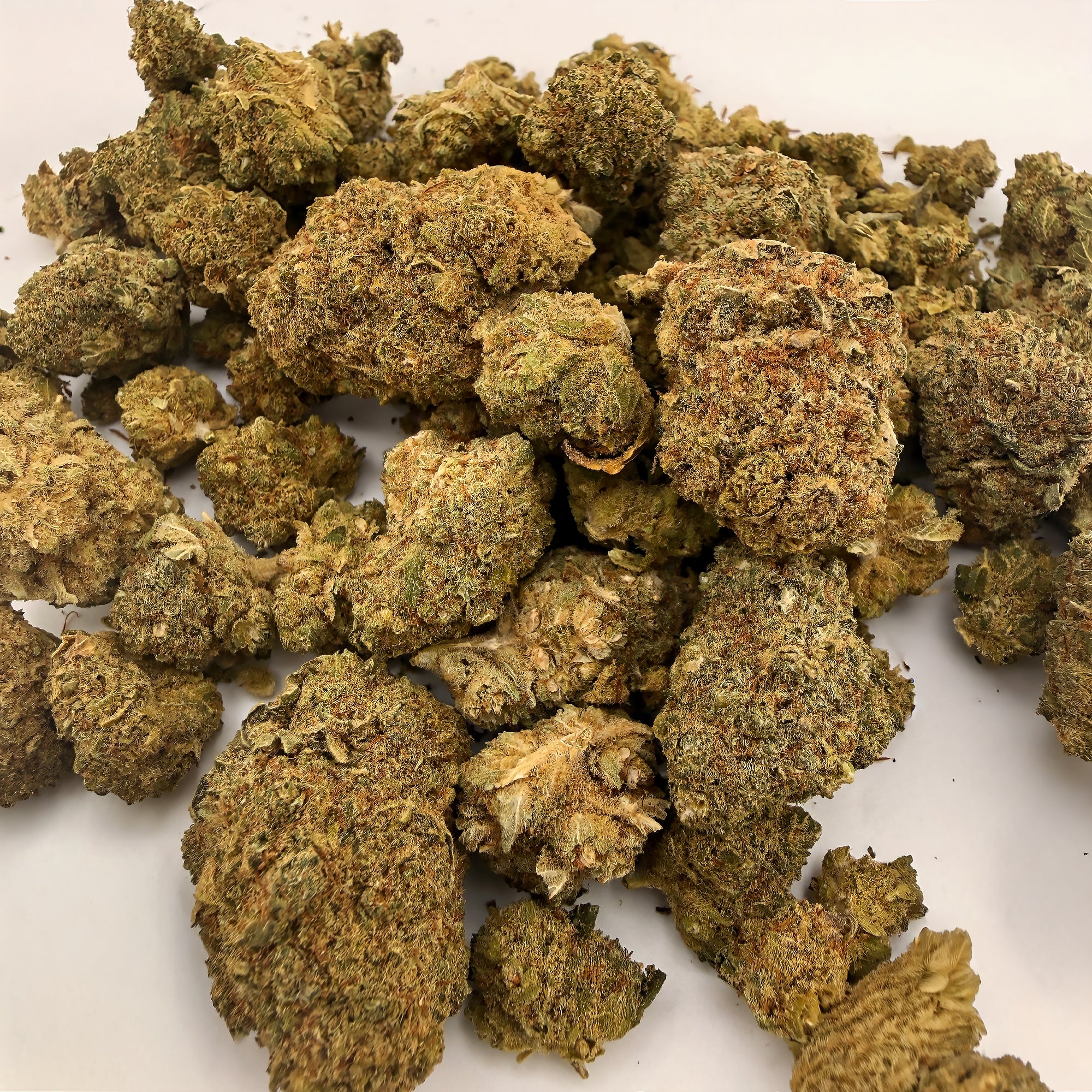 Dom Perignon OG Premium  CBD Blüten  Bulk 20g