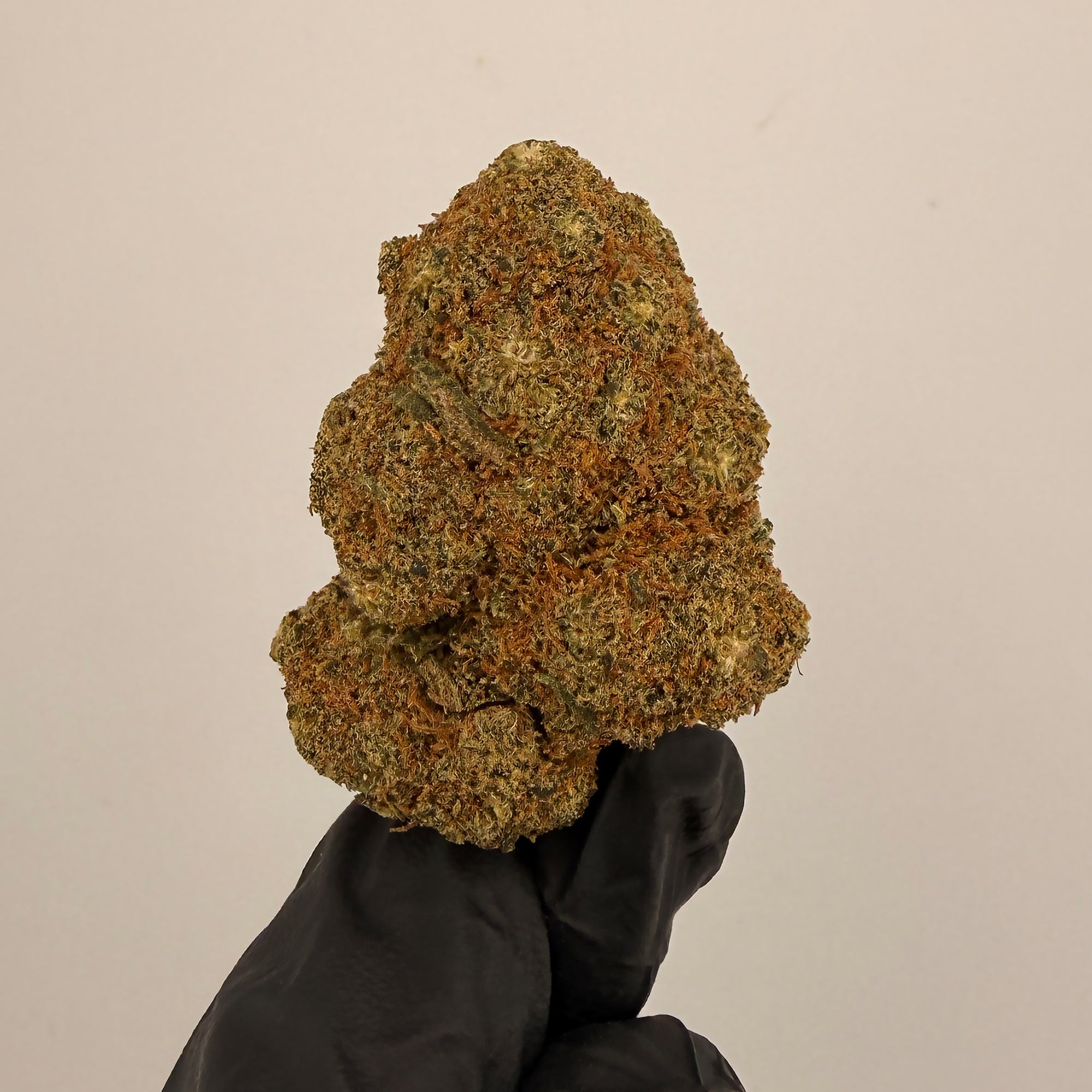 Mandarine Sherbet Premium CBD Blüten  Bulk 20g