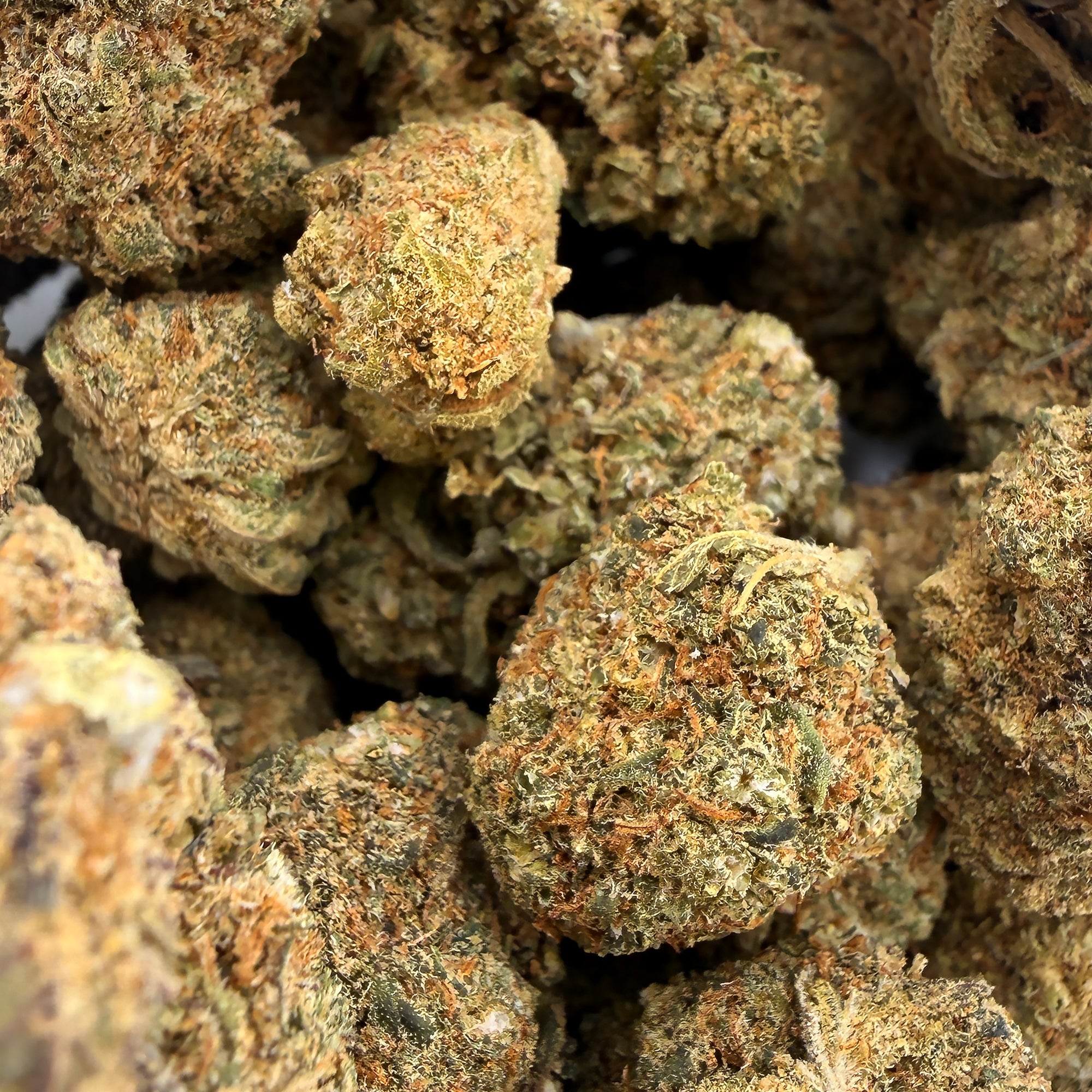 Mint Kush  Premium CBD Blüten  Bulk 20g