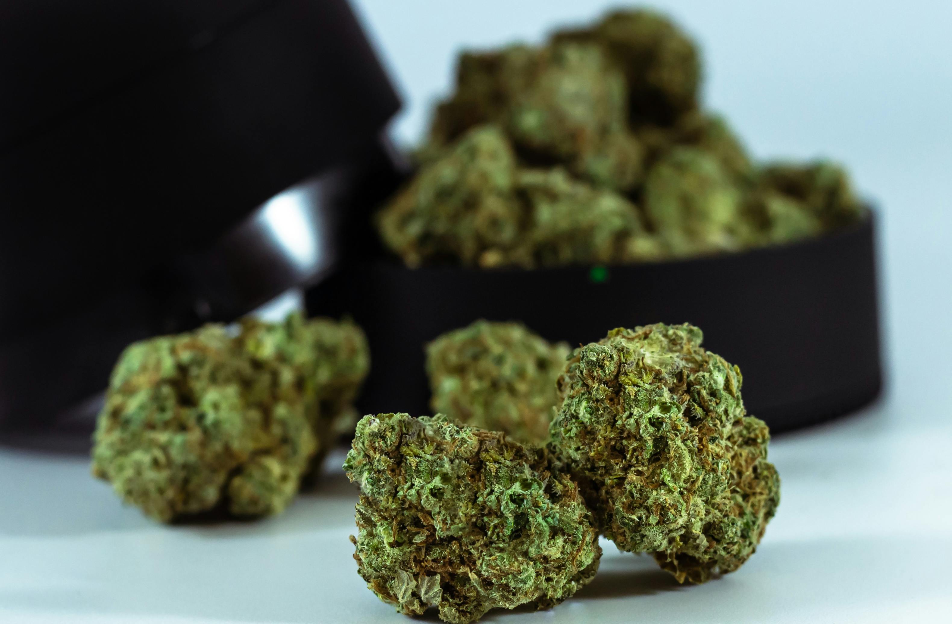 The Frozen One Premium CBD Blüten Bulk 20g