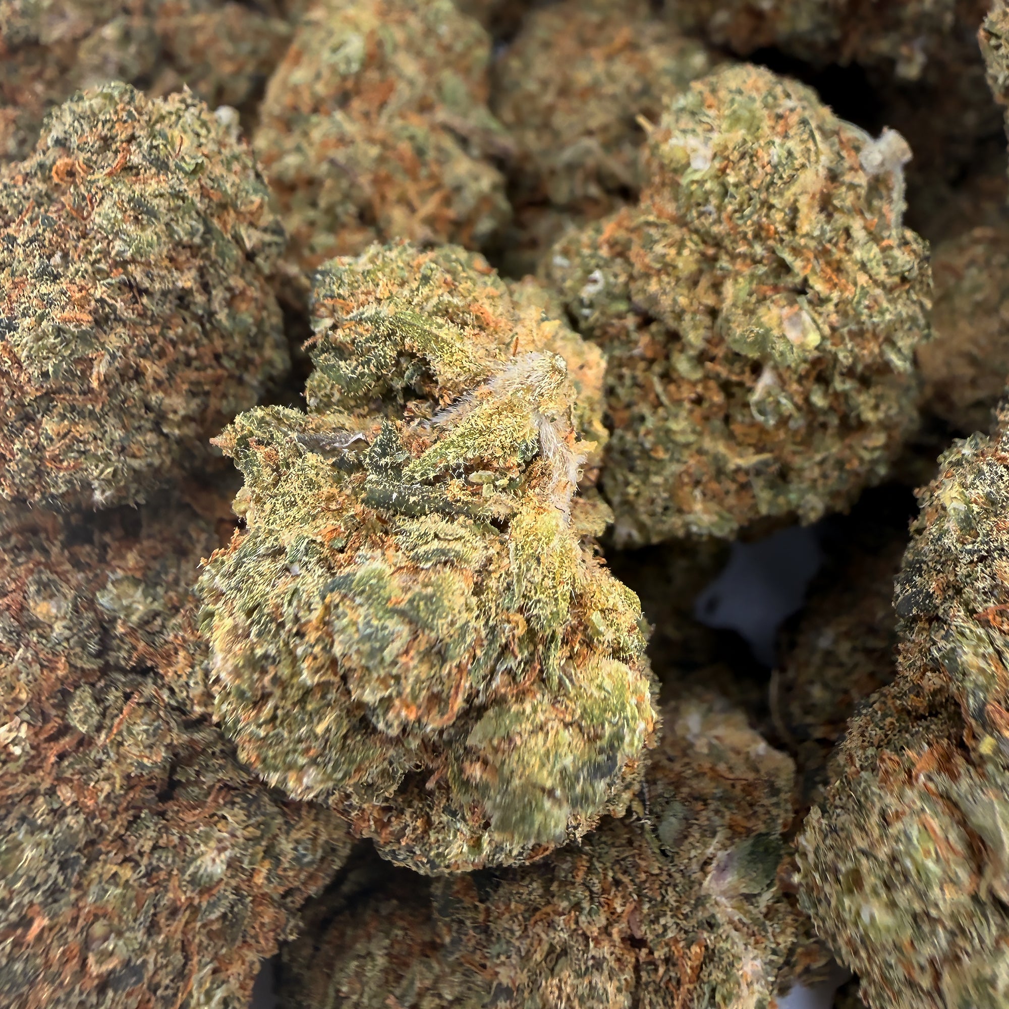 Platinum OG Premium CBD Blüten Bulk 20g