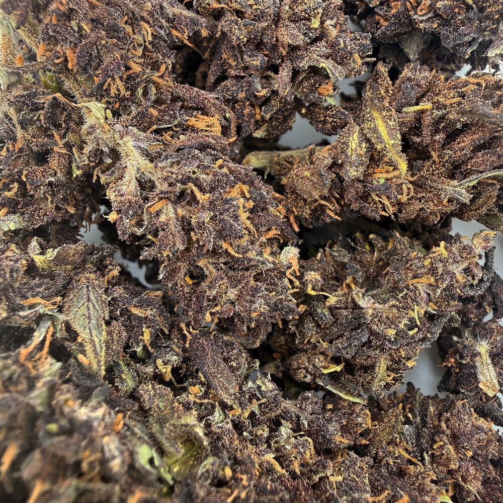 Purple Jack Premium CBD Blüten Bulk 20g