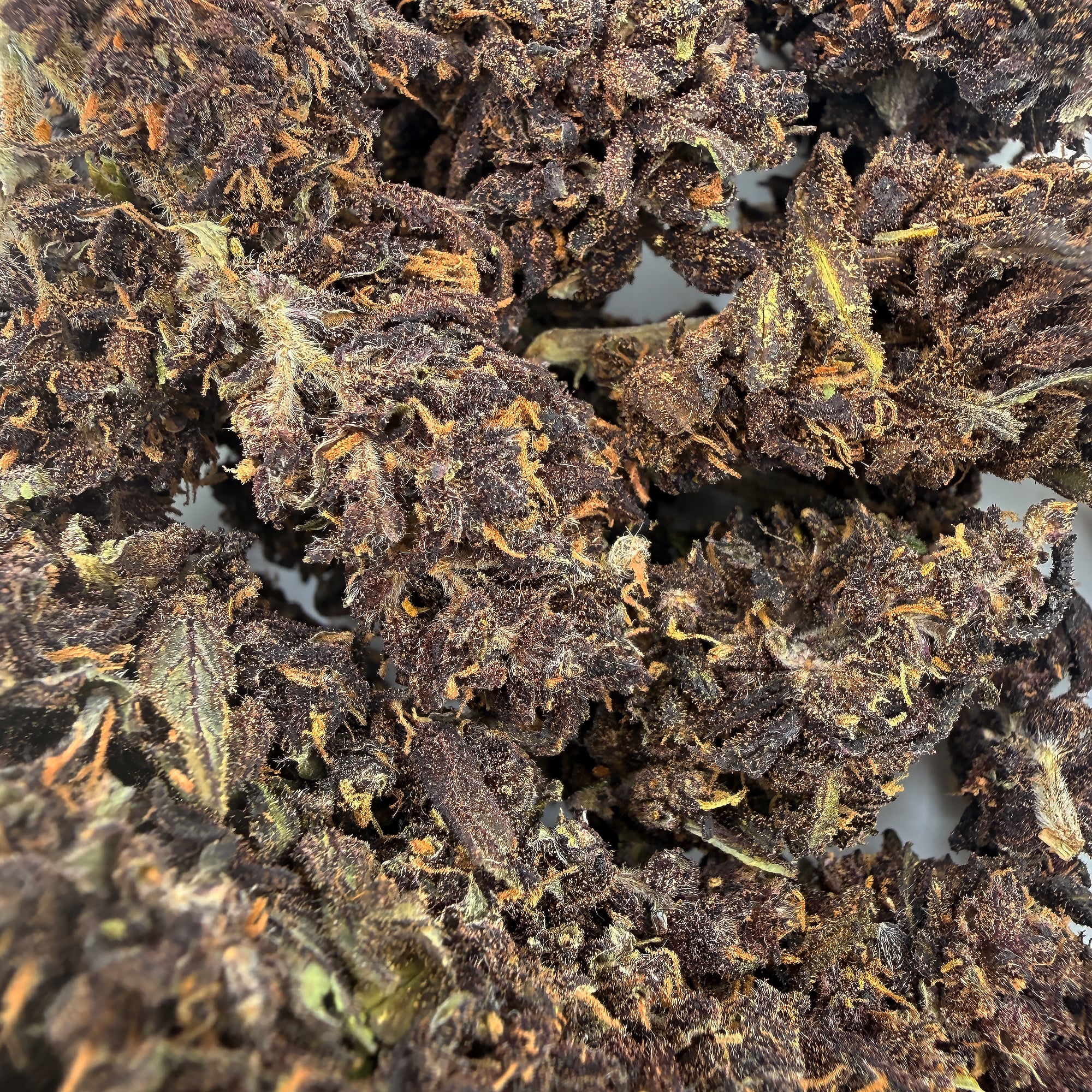 Purple Jack Premium CBD Blüten Bulk 20g