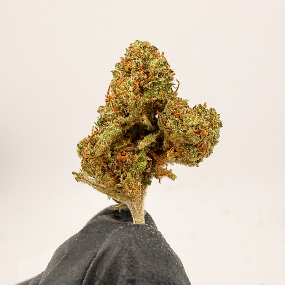 Strawberry Cake Premium CBD Blüten Bulk 20g