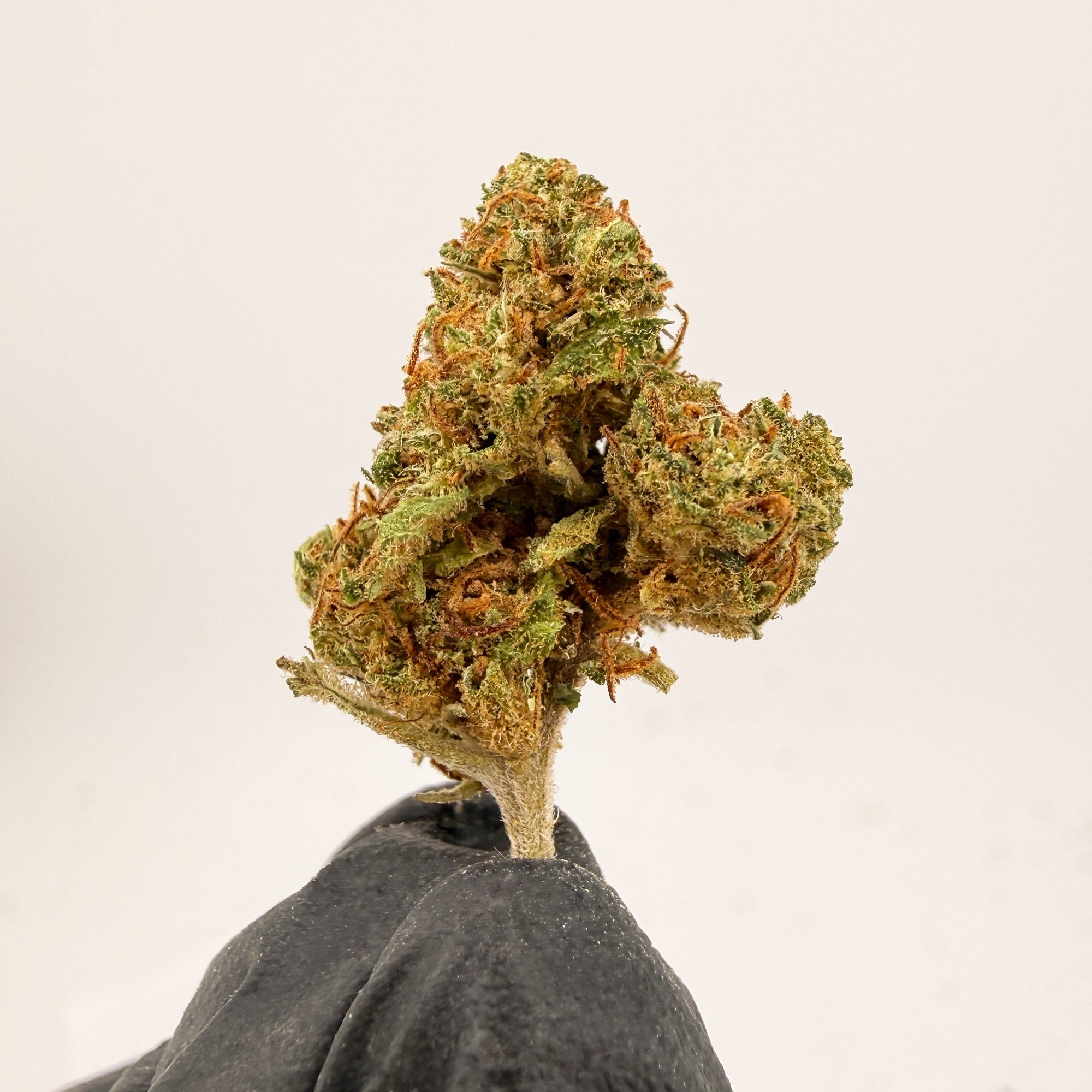 Strawberry Cake Premium CBD Blüten Bulk 20g