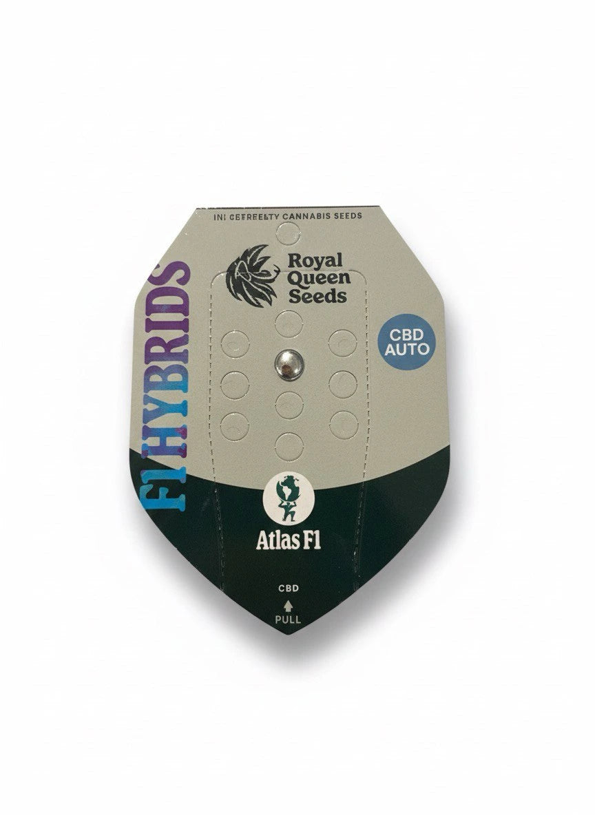 Atlas F1 Automatic 1x THC-CBD Cannabissamen