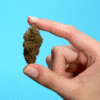 09_HighHappy_Mosters_Cookies_1x1_4b.gif