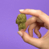 15_lHighHappy_Towlys_Thai_Fantasy_1x1_4b.gif
