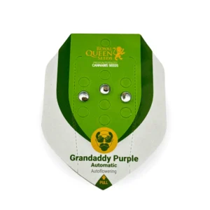 Grandaddy-PurpleAuto-online.webp