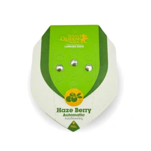 Haze-Berry-Auto-online.webp