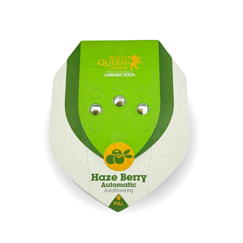 Haze-Berry-Auto-online.webp