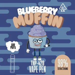 BlueberryMuffin-online.webp