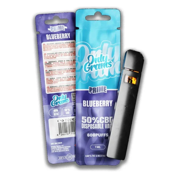 Blueberry online kaufen.webp