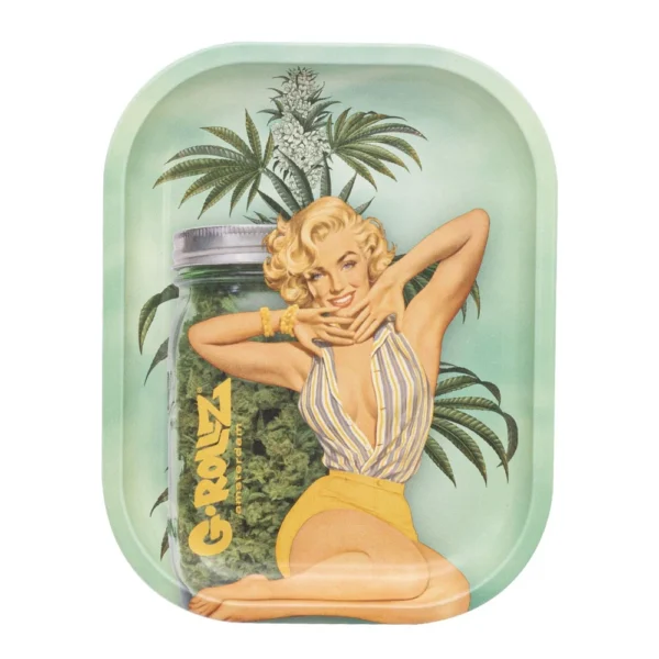 RD3300F G-ROLLZ Auto Parts Rolling Tray S online kaufen.webp