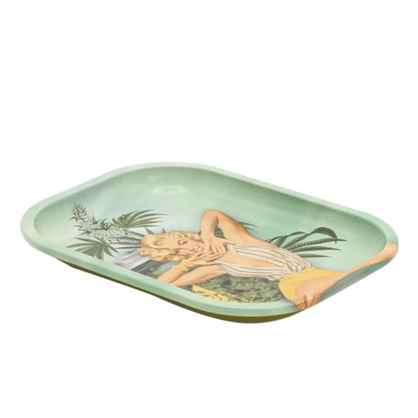 RD3300F-1 G-ROLLZ Auto Parts Rolling Tray S online kaufen.webp