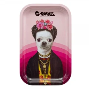 Pets Rock Mexico Rolling Tray M.webp