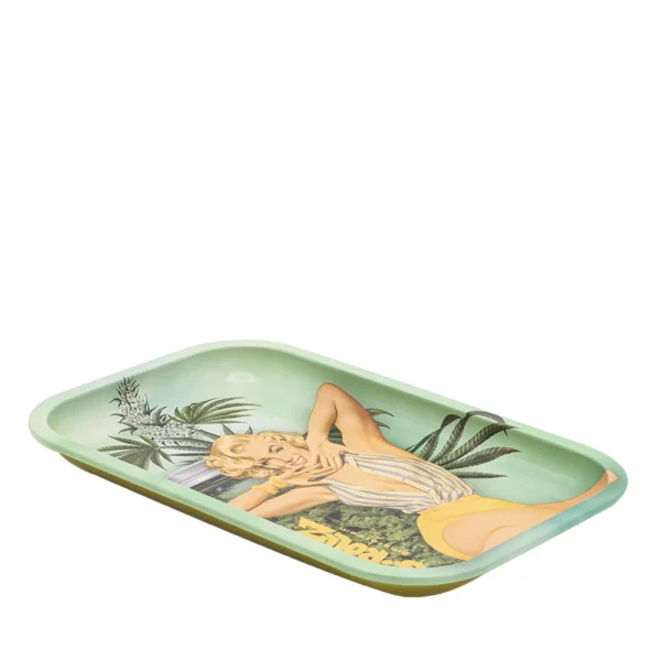 RD3301F-1 online kaufen.webp